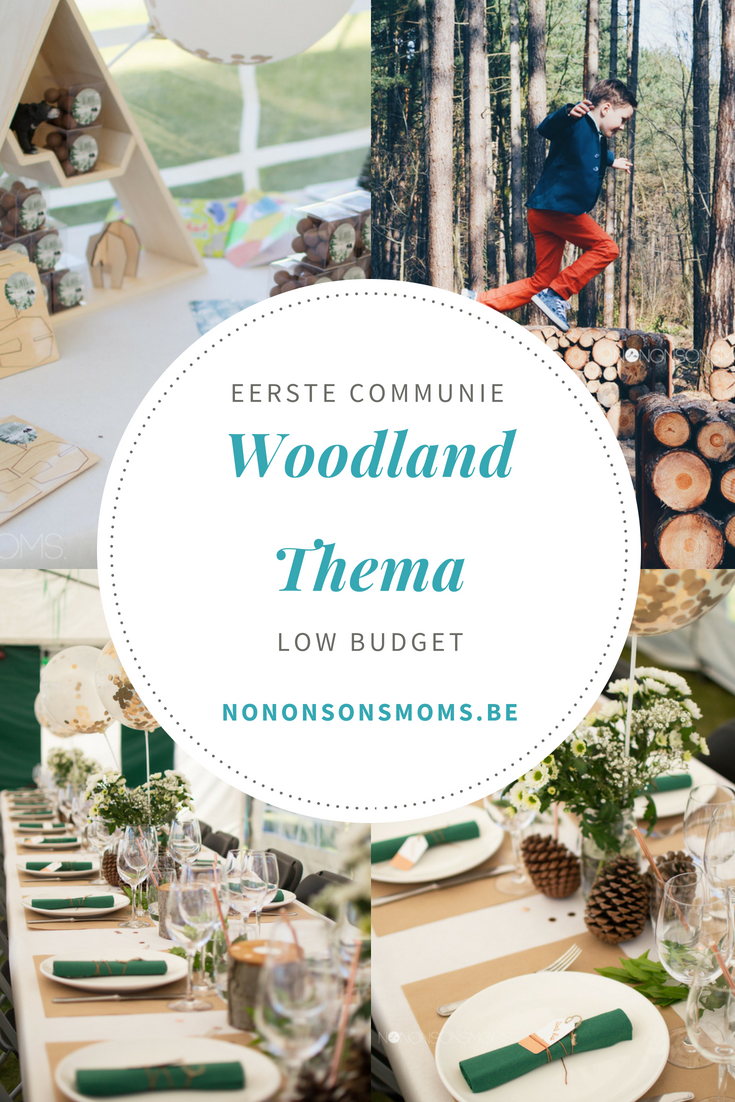 Eerste communie - woodland en beer thema - low budget