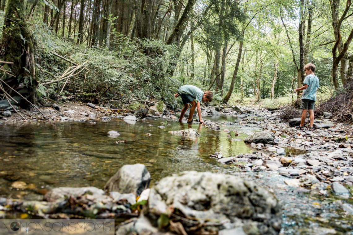 Kamperen met kinderen in de Duitse Eifel - Back to basic met dammetjes bouwen en kampvuur koken