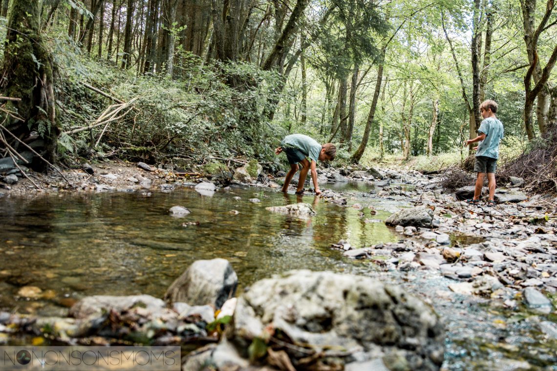 premie veteraan Punt Back to basic - kamperen met kinderen in de Duitse Eifel | Nononsonsmoms