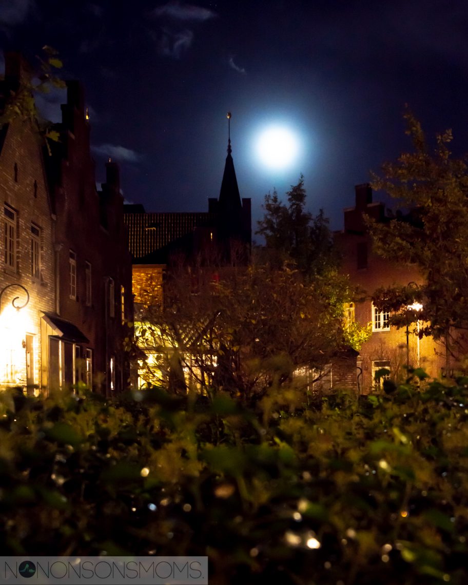 Efteling - Bosrijk - volle maan